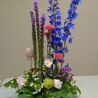 2010.02.26-004.JPG