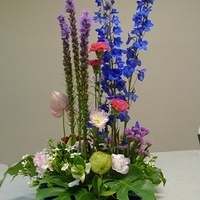 2010.02.26-005.JPG