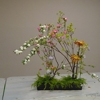 2010.03.05-001.JPG
