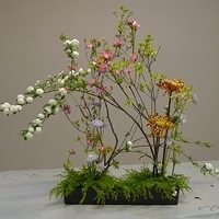 2010.03.05-002.JPG