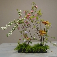 2010.03.05-003.JPG
