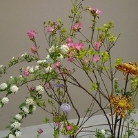 2010.03.05-004.JPG