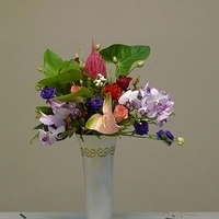 2010.03.12-001.JPG