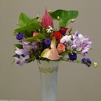 2010.03.12-003.JPG