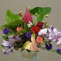 2010.03.12-004.JPG