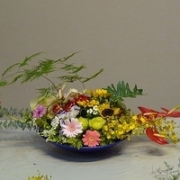 2010.03.19-001.JPG