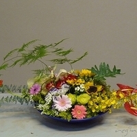 2010.03.19-002.JPG