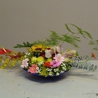 2010.03.19-003.JPG
