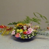 2010.03.19-004.JPG