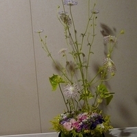 2010.04.09-001.JPG