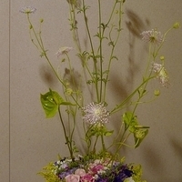 2010.04.09-002.JPG