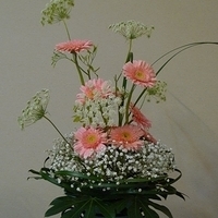 2010.04.23-002.JPG