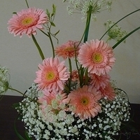 2010.04.23-003.JPG