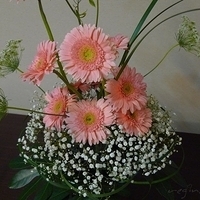 2010.04.23-004.JPG
