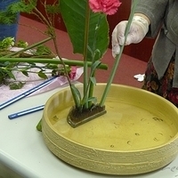 2009.05.05-001.JPG