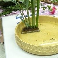 2009.05.05-002.JPG