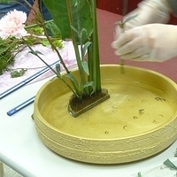 2009.05.05-003.JPG
