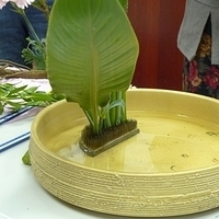 2009.05.05-005.JPG