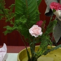 2009.05.05-006.JPG