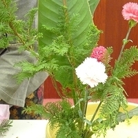 2009.05.05-008.JPG