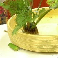 2009.05.05-011.JPG