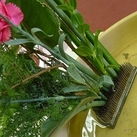 2009.05.05-012.JPG