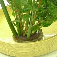 2009.05.05-015.JPG