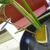 2009.05.05-016.JPG