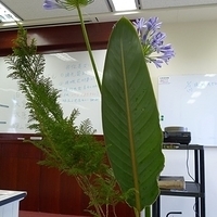 2009.05.05-017.JPG