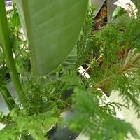 2009.05.05-020.JPG