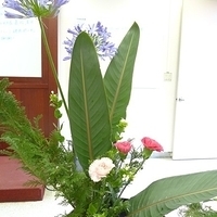 2009.05.05-022.JPG