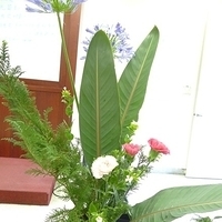 2009.05.05-023.JPG