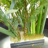 2009.05.05-024.JPG