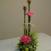 2010.05.07-002.JPG