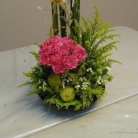 2010.05.07-003.JPG