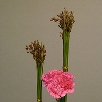 2010.05.07-004.JPG