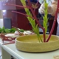 2009.05.13-002.JPG