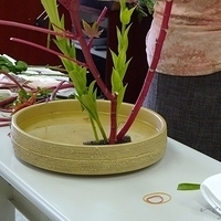 2009.05.13-003.JPG