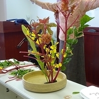2009.05.13-005.JPG