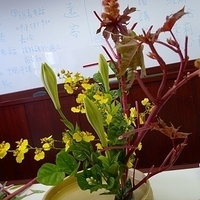2009.05.13-008.JPG