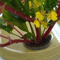 2009.05.13-010.JPG