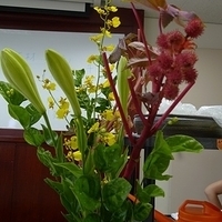 2009.05.13-011.JPG