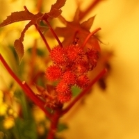 2009.05.13-013.JPG