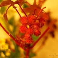 2009.05.13-014.JPG