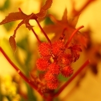 2009.05.13-015.JPG