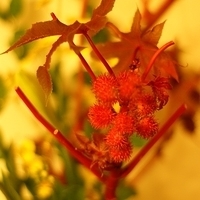 2009.05.13-016.JPG