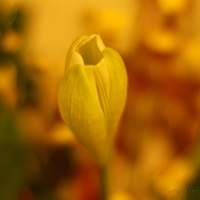 2009.05.13-017.JPG