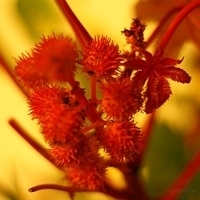2009.05.13-018.JPG