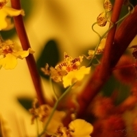 2009.05.13-019.JPG