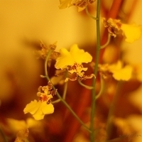 2009.05.13-020.JPG